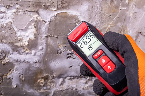 Best Mold Remediation  in Holiday Island, AR