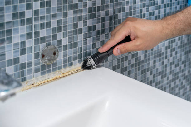 Best Mold Removal Process  in Holiday Island, AR