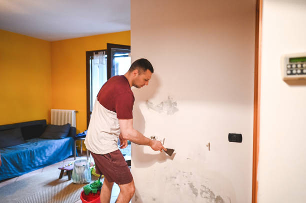 Best Water Damage Restoration  in Holiday Island, AR
